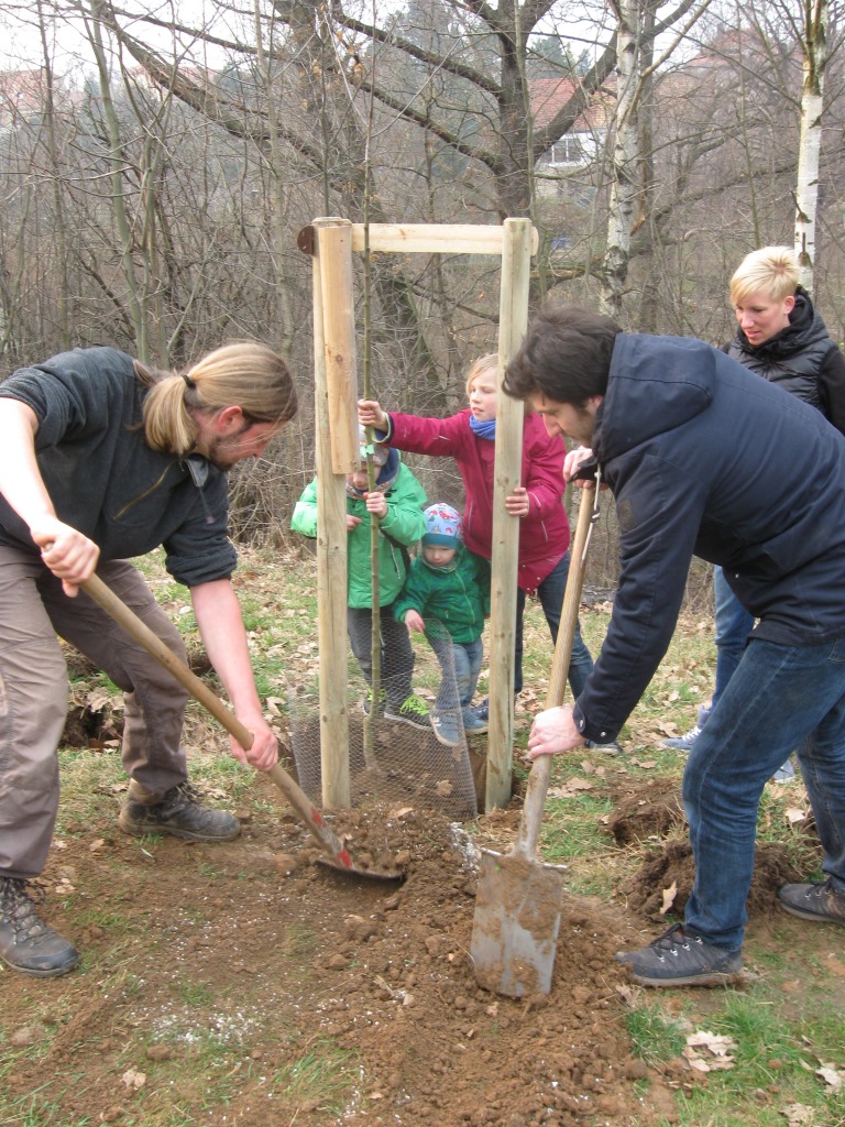 Baumpaten2 2015 small